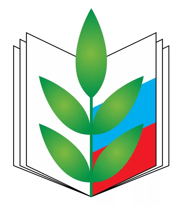 ijb5q38fj_6025fc93683b6